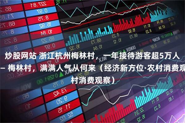 炒股网站 浙江杭州梅林村，一年接待游客超5万人次—— 梅林村，满满人气从何来（经济新方位·农村消费观察）