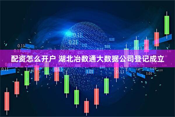 配资怎么开户 湖北冶数通大数据公司登记成立