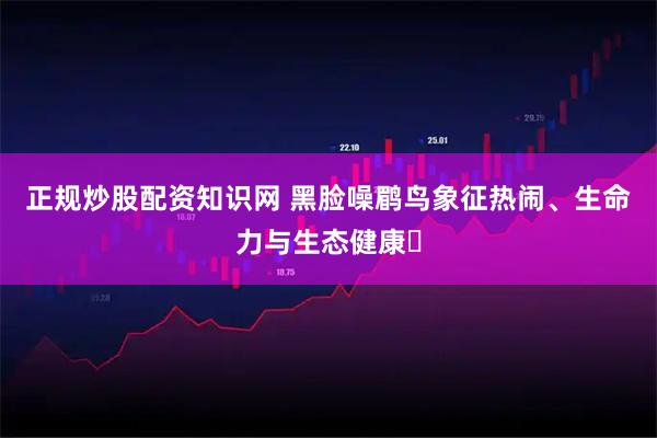 正规炒股配资知识网 黑脸噪鹛鸟象征热闹、生命力与生态健康